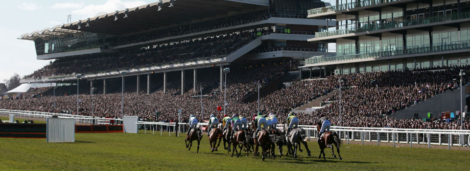 Cheltenham Festival Horse Racing