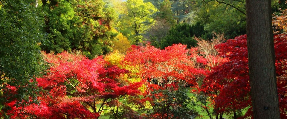 Batsford Arboretum