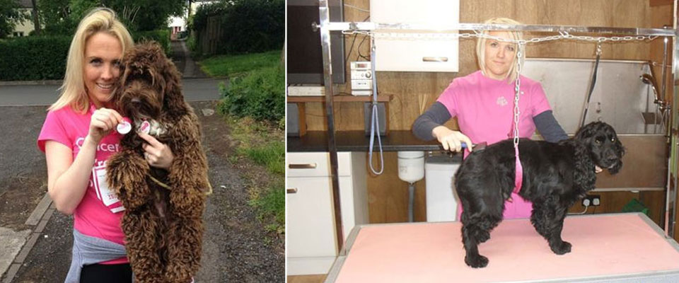 Broadway Dog Groomer