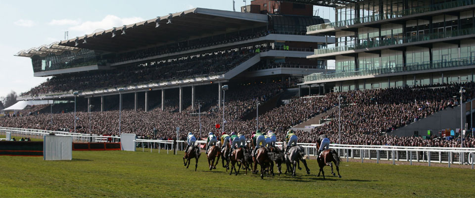 Cheltenham Race Week