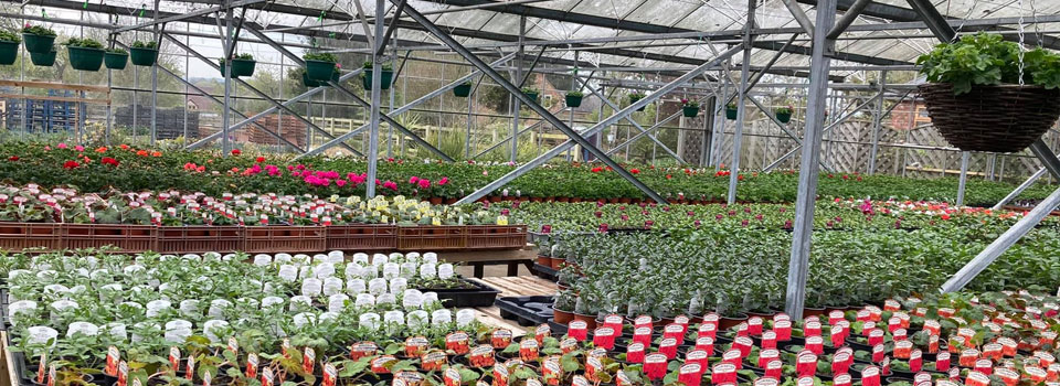 Station Garden Nurseries